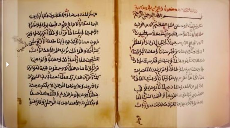 DeWatermark.ai_1762252534446